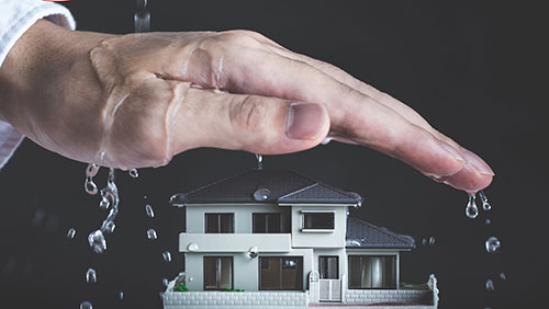 Bảng giá sơn chống thấm tại BMT Đắk Lắk chi tiết nhất 2025